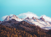 世界杯比赛在线观看平台-中国女篮艰难战胜捷克队 晋级世界杯正赛